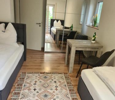 Hofherrnweiler Apartment | WellandHome Aalen - Business Apartment - 4 single beds