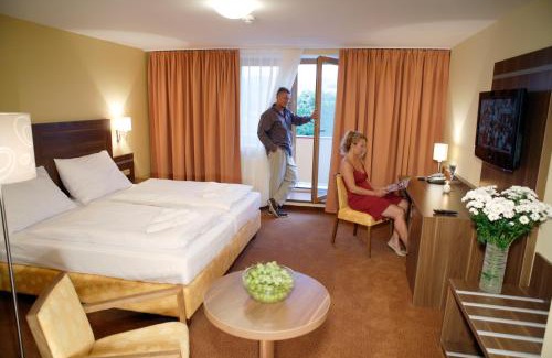 Roznov Pod Radhostem Hotel | Wellness Resort Energetic