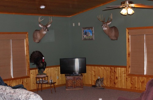 Pittsfield Cabin | West Central Lodging