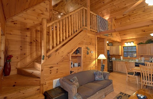 Caton Cabin | Wet Bear Paws: Have a Paw-sitively Great Smoky Mountain Getaway!