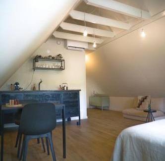 Terherne Apartment | WetterLoft - Luxe appartement met aanlegsteiger en terras