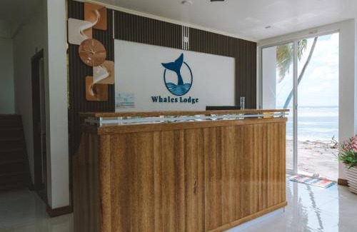Dhidhdhoo House | Whales Lodge