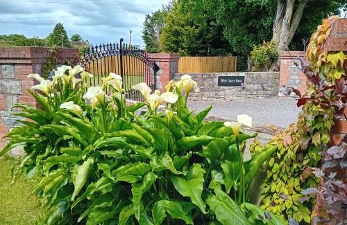 Navan House | White Quarry House