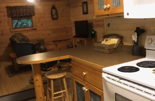 Oneida Cabin | Whitetail Hollow- 2 bedroom 1 bath