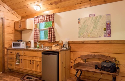 Allegheny Mountains Cabin | WiFi l Heat/AC l Firepit/Grill- Glamp in Style!