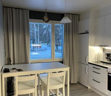 Viitasaari Apartment | Wiitakoto