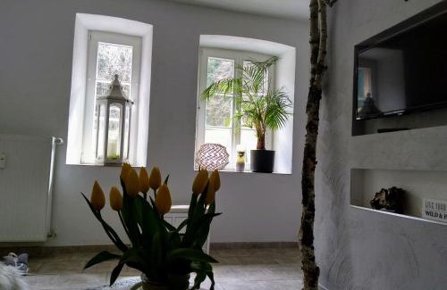Muerlenbach Apartment | Wildblick Appartment Hof Grindelborn