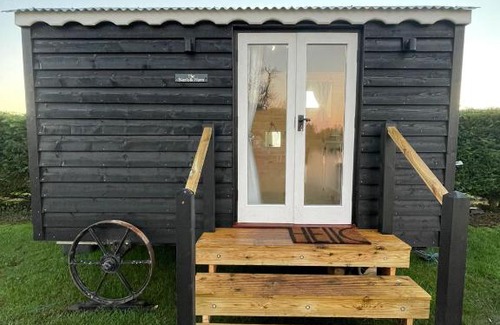 Northwold Other | Wildflower Fisheries