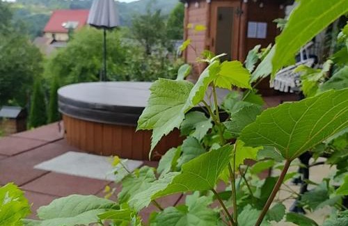 Kroscienko nad Dunajcem House | Willa Grono
