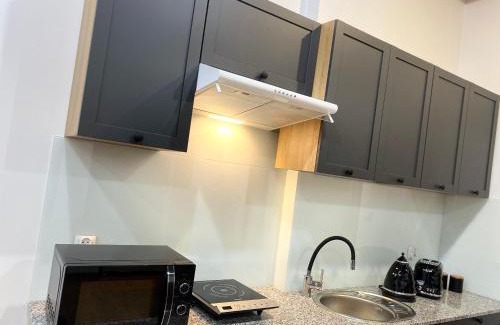 Klodzko Miasto Apartment | Willa nad rzeką