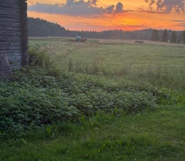 Iisalmi House | Willa Stonehill