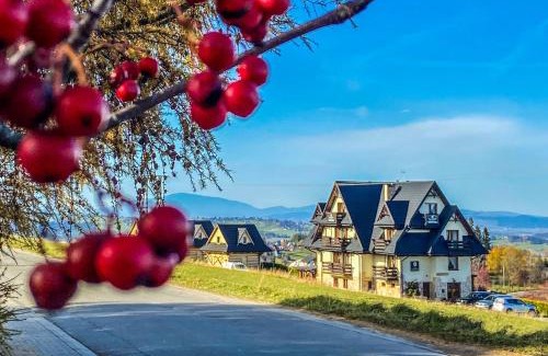 Gliczarow Gorny House | Willa w Gliczarowie, Apartament z Aneksem, Jacuzzi z Sauną