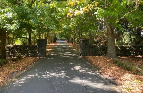 Kumeu Cabin | Willows Reach Lodge
