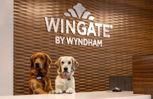 Downtown Hotel | Wingate by Wyndham Lethbridge