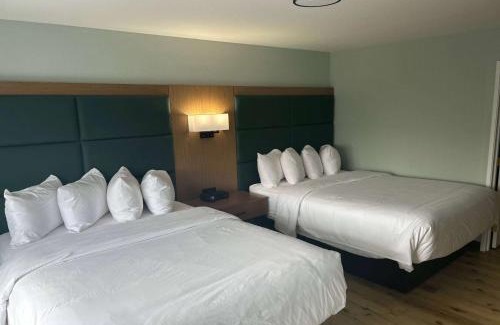 Ontario Hotel | Wingate By Wyndham Mansfield Ontario