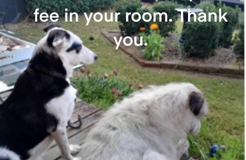Wingham House | Wingham House - Pet Friendly