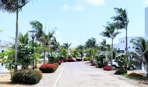 Willemstad Apartment | Winstonvalley Resort