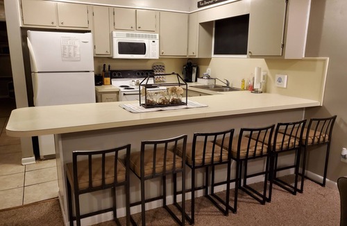 Ghent Condo | Winterplace 3BR/2BA Condo - Gorgeous View - Ski in Ski out