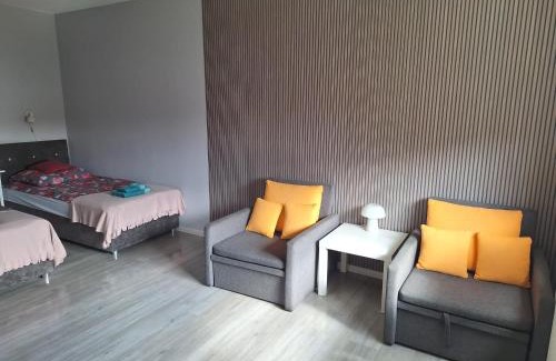 Psie Pole Apartment | Witkowska-nocleg