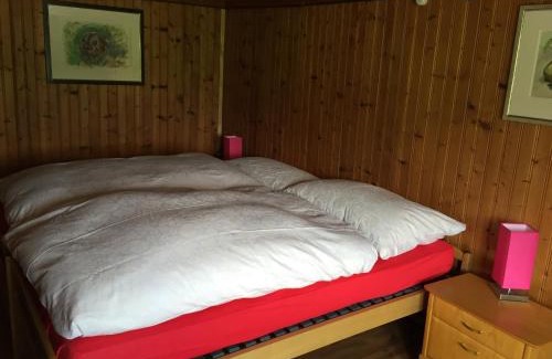 Oberuzwil Bed & Breakfast | Wohlfühloase für Mensch und Hund
