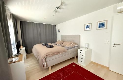 Glattbrugg Apartment | Wohnung mit Klimaanlage Zürich & Airport nah