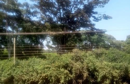 Nyeri Apartment | Wolf Cabins 2
