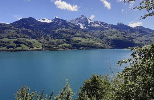 Unterterzen Apartment | Wonderful holiday home with cablecar to ski area