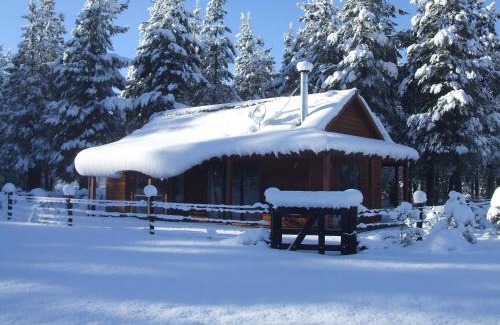 Hanmer Springs Ski Chalet | Woodbank Park Cottages
