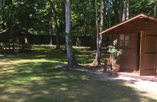 Noisy-sur-Ecole Ski Chalet | Wooden chalet in the middle of a wooded park