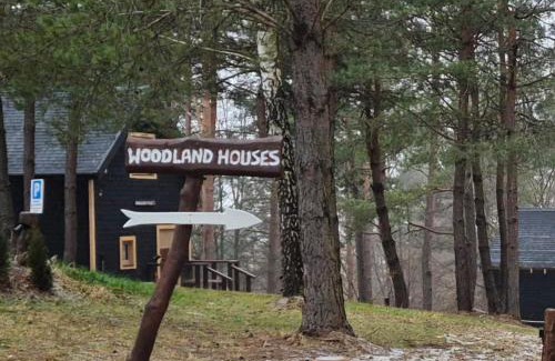 Solina House | Woodland House 1