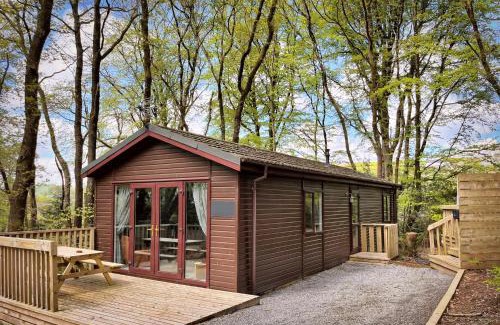 Llanybri Ski Chalet | Woodland View -Hot Tub-Tenby-Carmarthen-St Clears