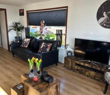 Oud-Loosdrecht Boat Rental | Woonboot De Witte loosdrechtse plassen
