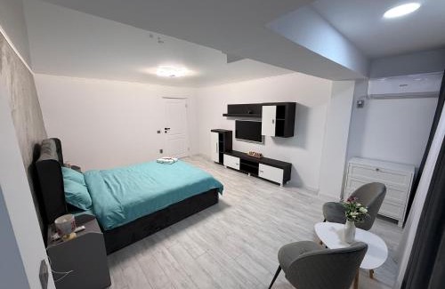 Braila Apartment | WPP Apartament