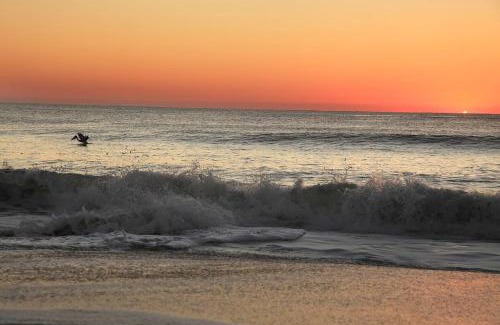 North Carolina Coast Apartment | Writers Cove by Carolina Beach Realty