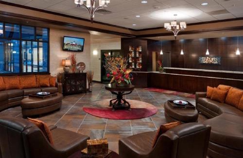 South Loop Hotel | Wyndham Bloomington - Mall of America