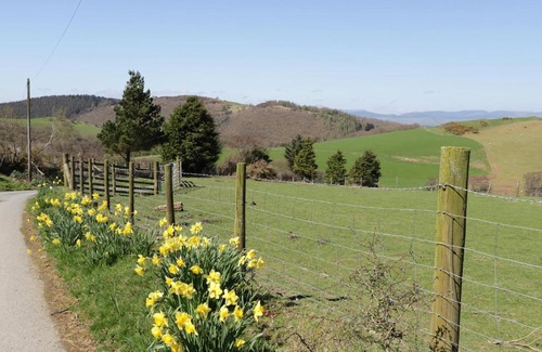 Machynlleth House | Y Daflod