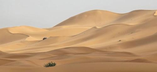 Lac Yasmins Hotel | Yakout Merzouga Luxury Camp