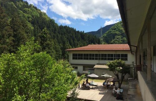 Miyoshi Hotel | 'Yamaneko Hotel 'Saunas, Serenity & Feline Friends