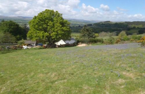 Moretonhampstead Bed & Breakfast | Yarningale