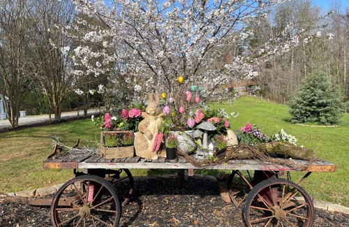 Dahlonega Bed & Breakfast | Yellow Daisy Bed and Breakfast
