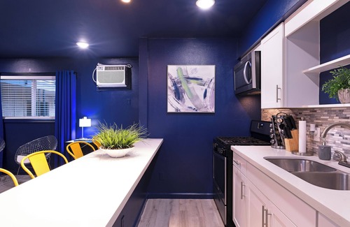 Hyde Park Apartment | Your Montrose Studios! Sleeps 26/13BR/13BA/13PA