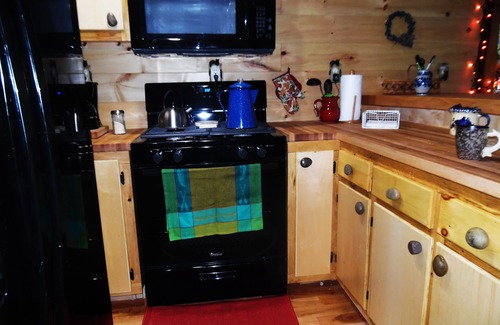 Taberg Cabin | "Your Neck of the Woods" Cabin Rental: Peaceful Get-away Overlooking Fish Creek