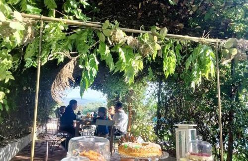 Loja House | Your Private Paradise in the Adalucian Hills