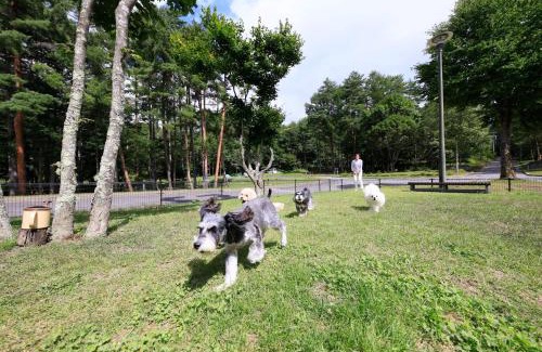Chino Hotel | Yutorelo Tateshina Hotel with DOGS