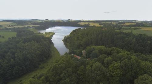 gmina Olszyna Villa | Zamek Rajsko