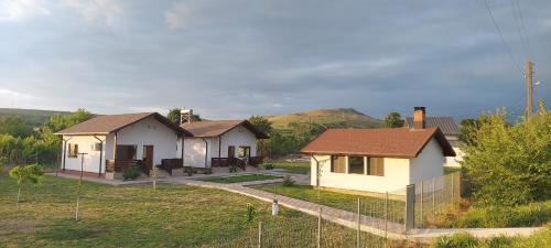 Peceneaga House | Zander House