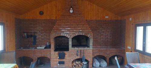 Peceneaga House | Zander House