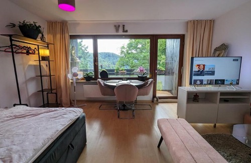 Bad Liebenzell Apartment | ZAUBERFROSCH - ankommen und Zuhause fühlen - Apart-VL