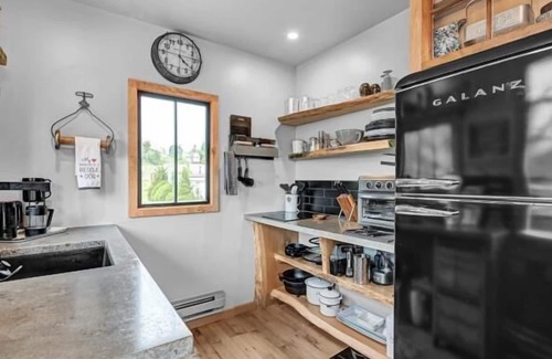 Canaan Valley House | Zen2- Adorable Tiny Home in Davis! Pet Friendly! A/C