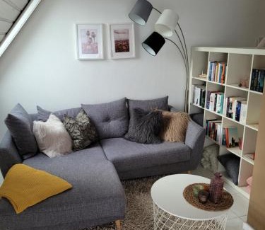 Schwaebisch Hall Apartment | Zentrale Dachwohnung in SHA